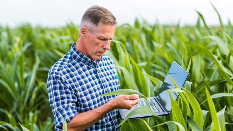 Soluciones tecnológicas efectivas para un productor de maiz