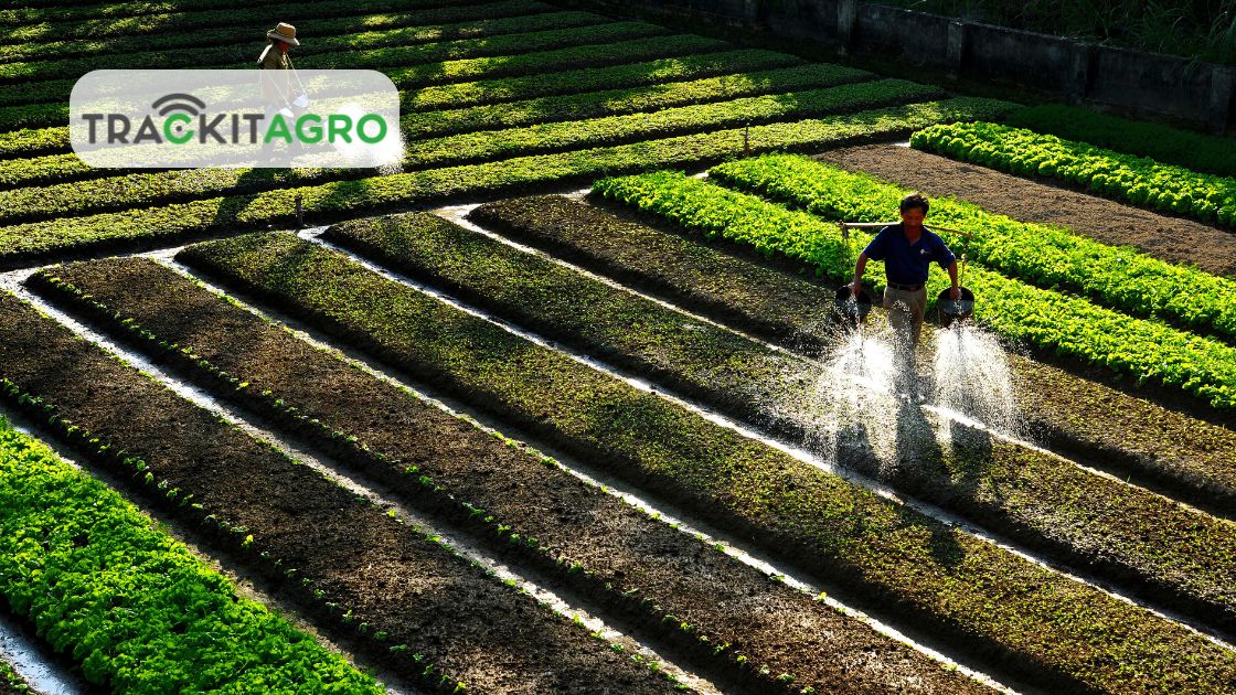 Estimulando producción mediante el adecuado uso de tecnología agrícola